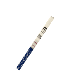 Pregnancy test Pregnancy test
