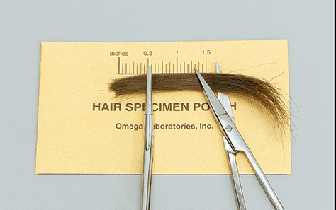 Laboratory Hair Test Ruler