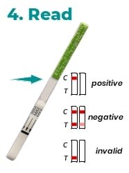 Read Drug Testing Strip Instructions Green