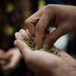 what is synthetic marijuana