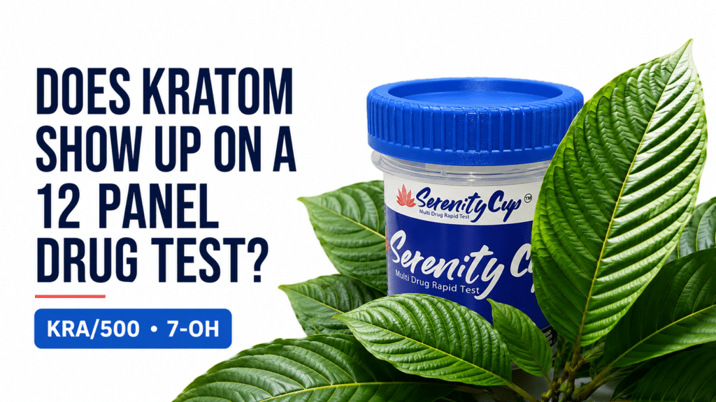 Does kratom show up on a 12 panel drug test with KRA/500 and 7-OH screening