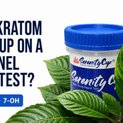 Does kratom show up on a 12 panel drug test with KRA/500 and 7-OH screening