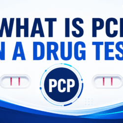 What is PCP on a drug test educational graphic