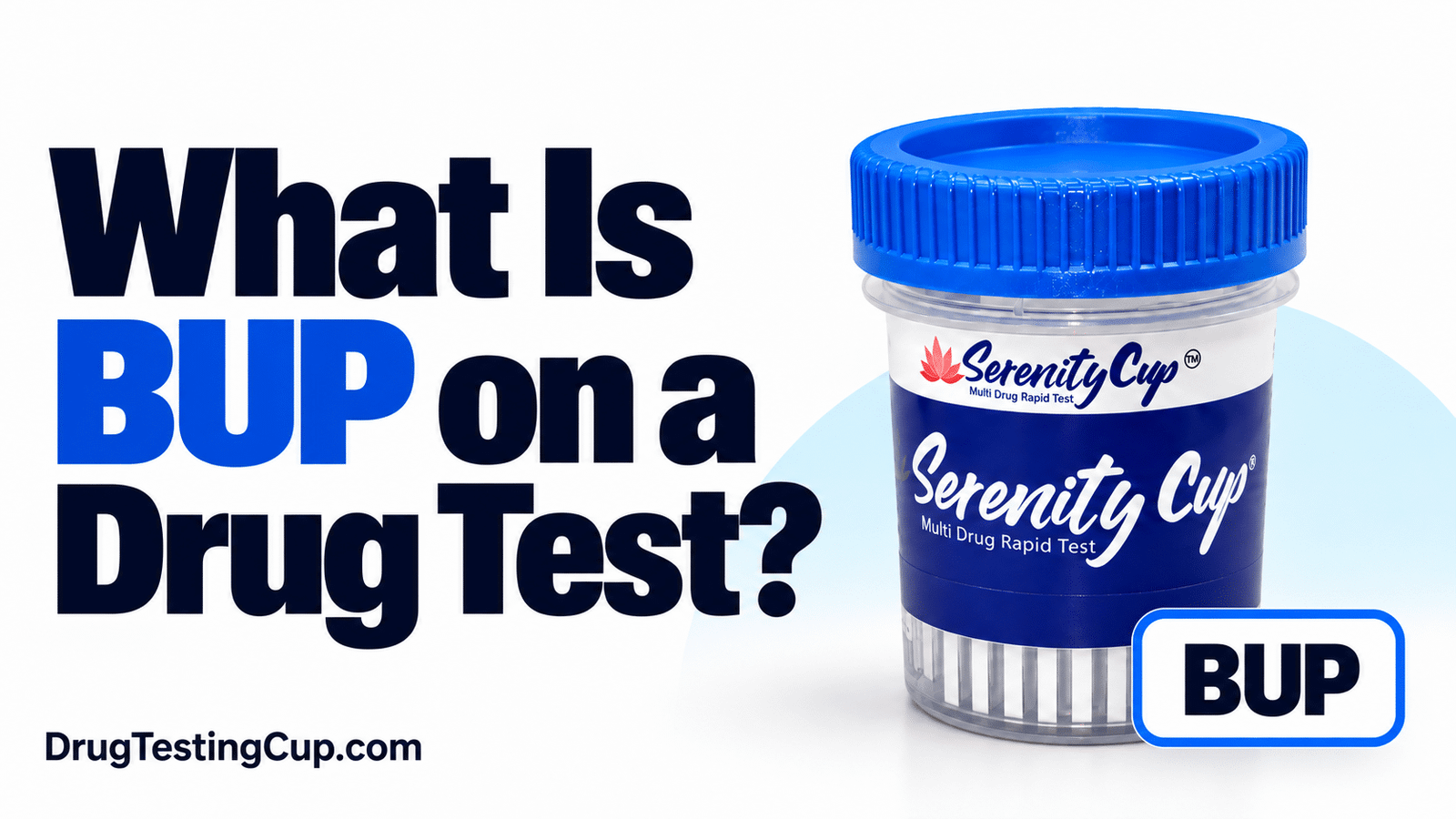 what is bup on a drug test