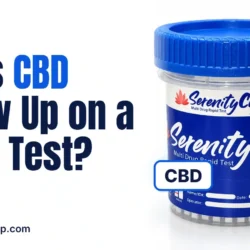 does cbd show up on drug test